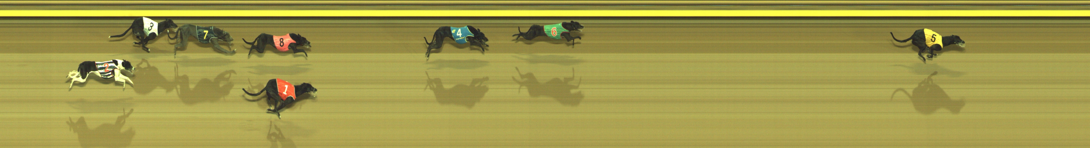 Photo finish for Geelong Race 12