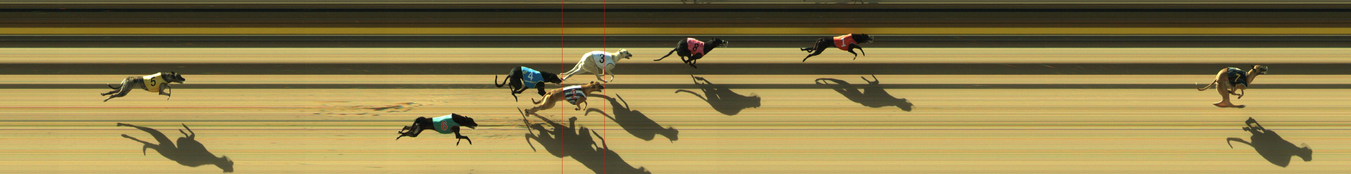 Photo finish for Geelong Race 1