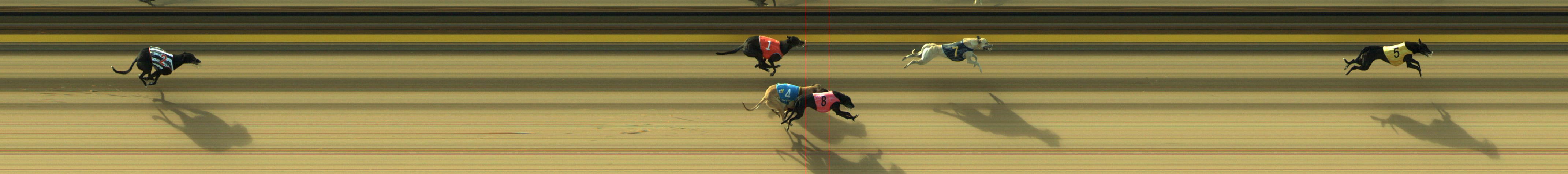 Photo finish for Geelong Race 2