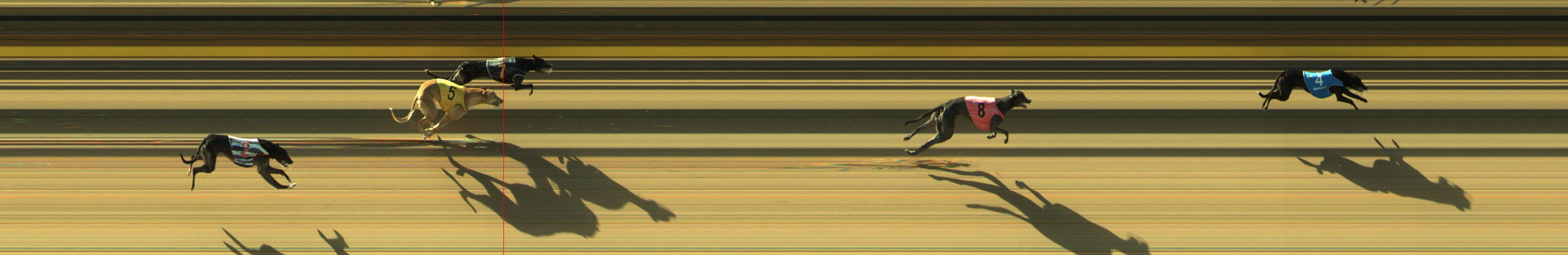 Photo finish for Geelong Race 3