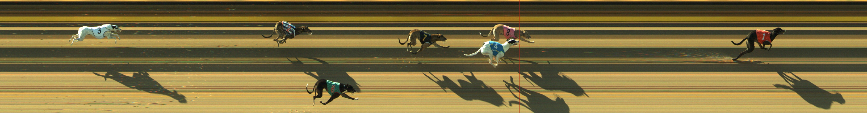 Photo finish for Geelong Race 4