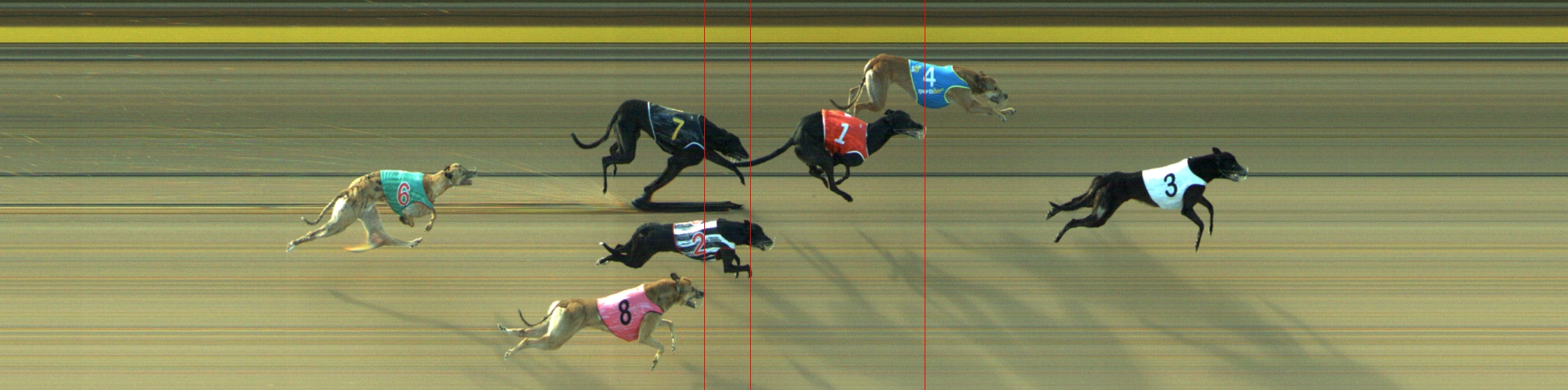 Photo finish for Geelong Race 5