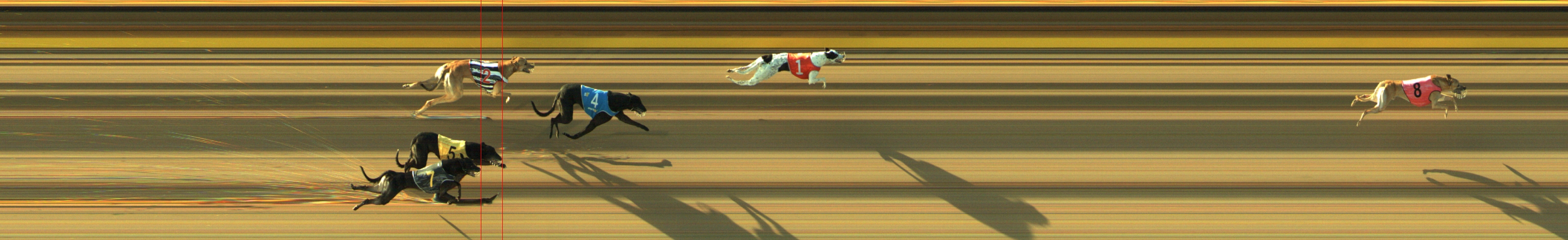 Photo finish for Geelong Race 6