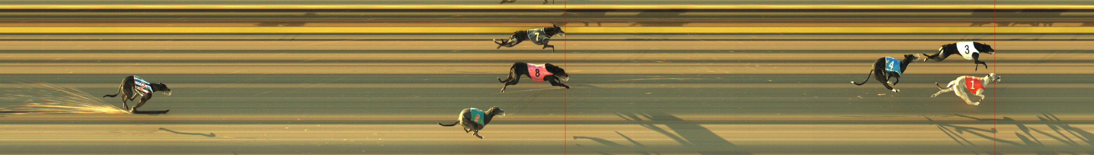 Photo finish for Geelong Race 7
