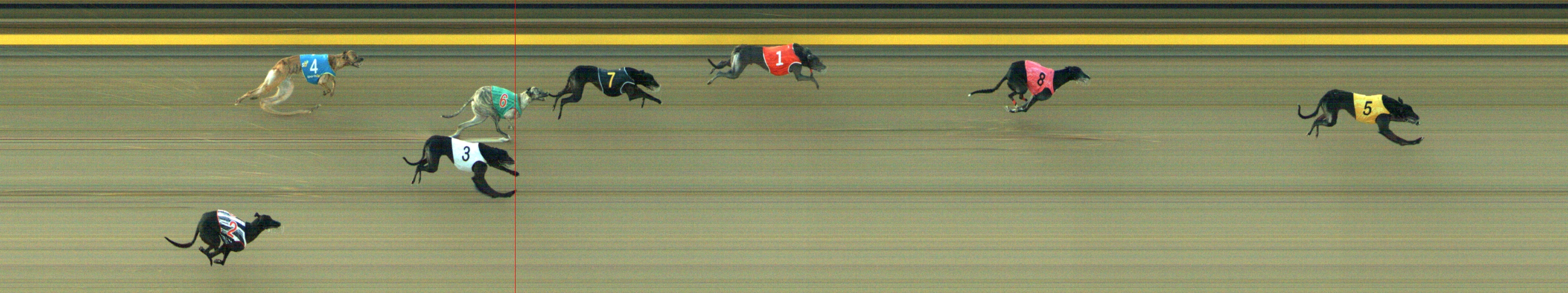 Photo finish for Geelong Race 8