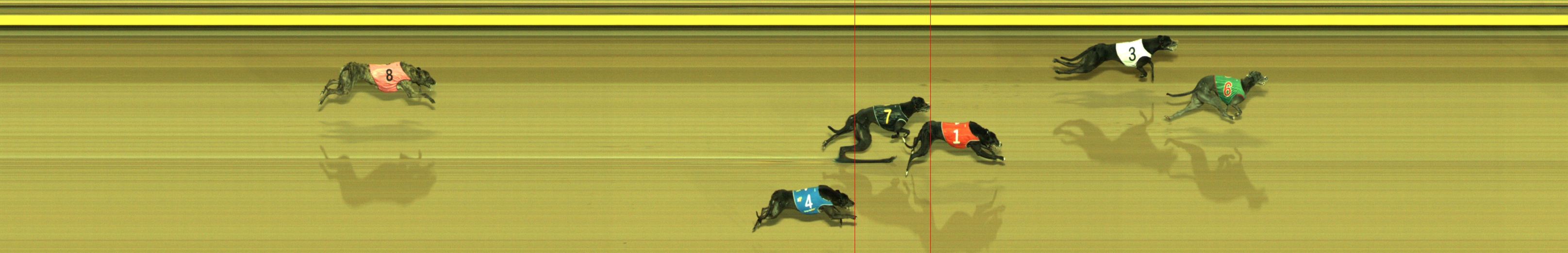 Photo finish for Geelong Race 9