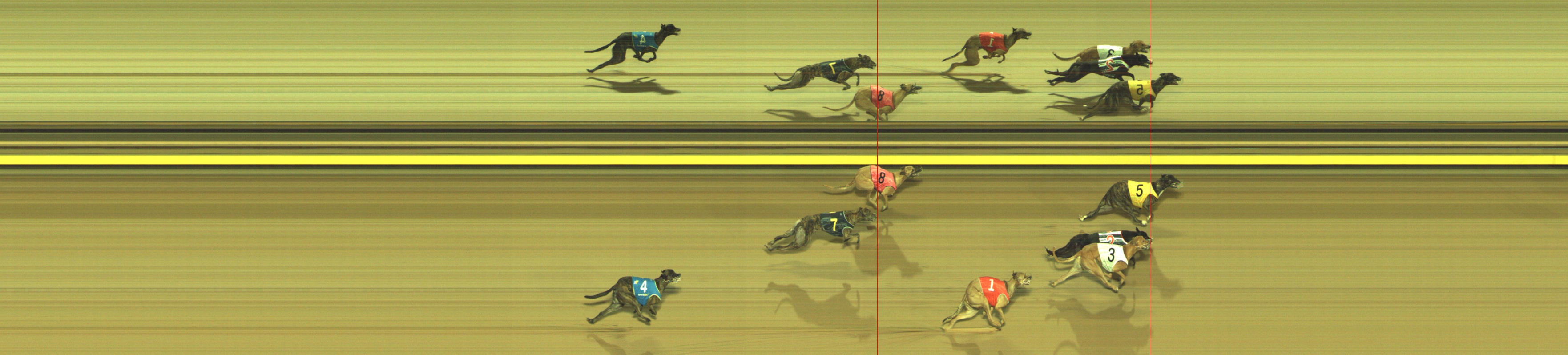 Photo finish for Geelong Race 10