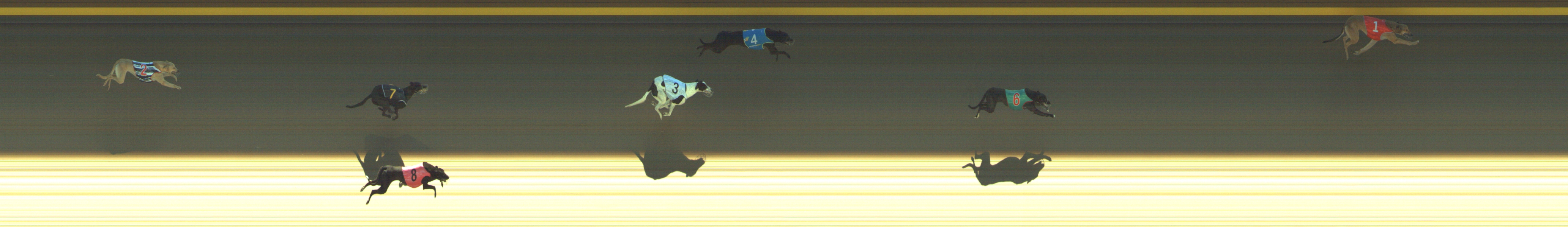 Photo finish for Geelong Race 1