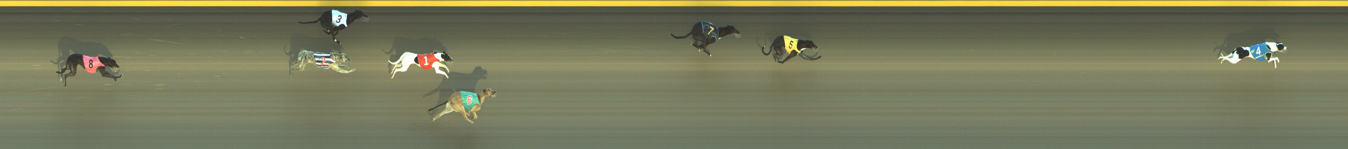 Photo finish for Geelong Race 2
