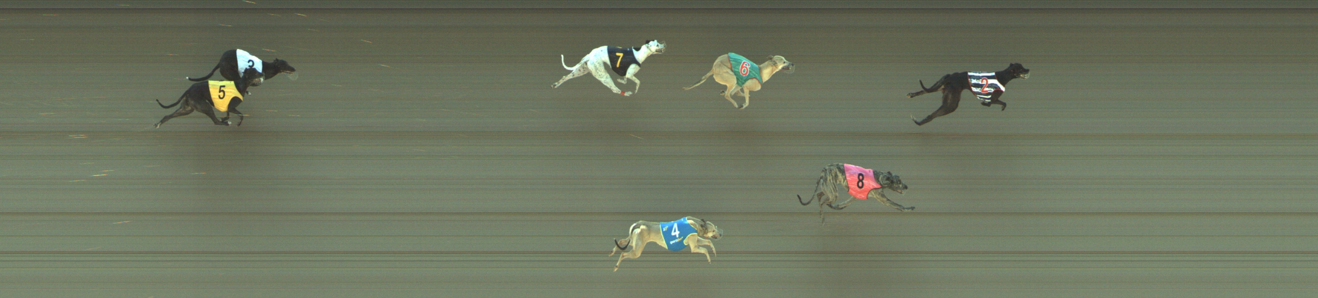 Photo finish for Geelong Race 3