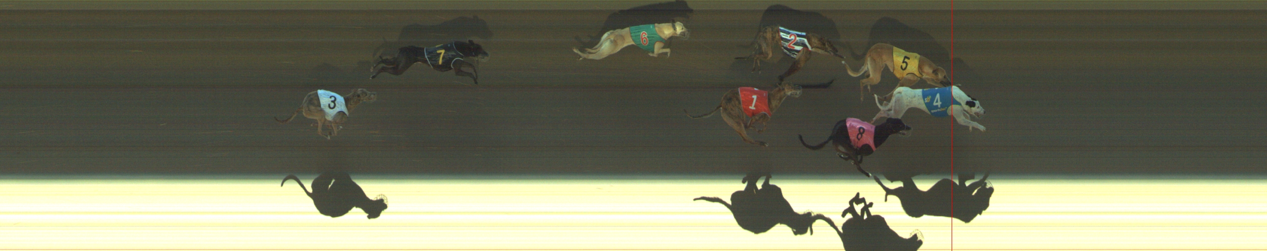 Photo finish for Geelong Race 4