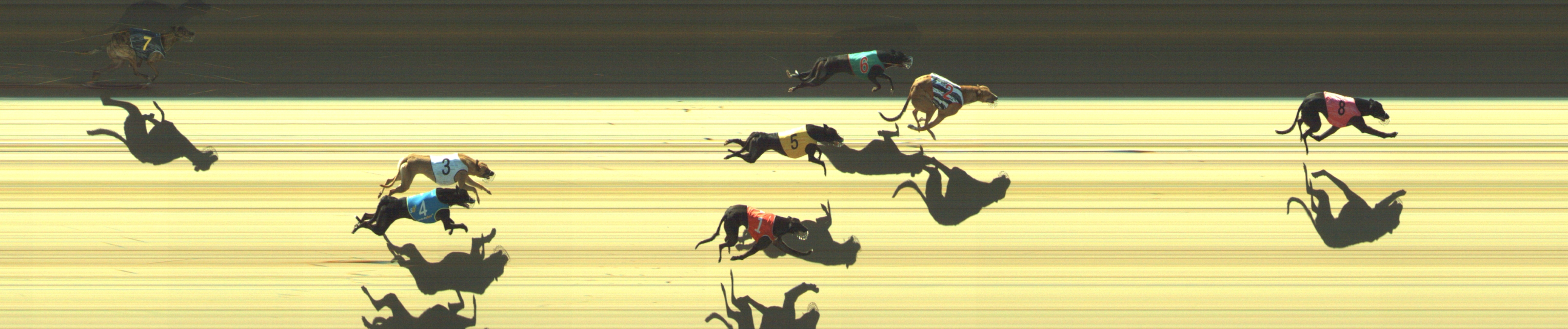 Photo finish for Geelong Race 5