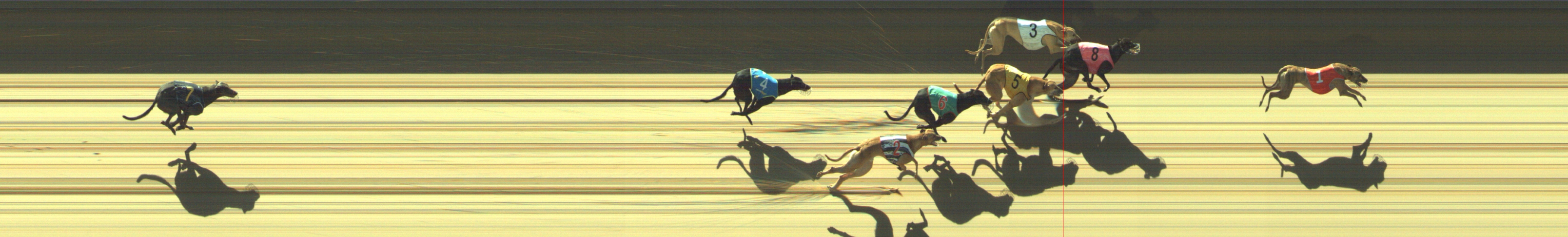 Photo finish for Geelong Race 6