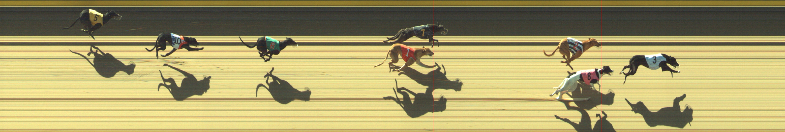 Photo finish for Geelong Race 7