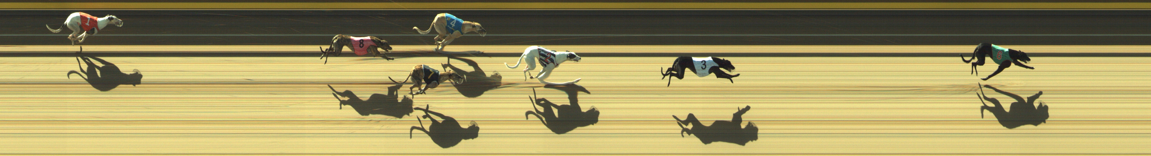 Photo finish for Geelong Race 8
