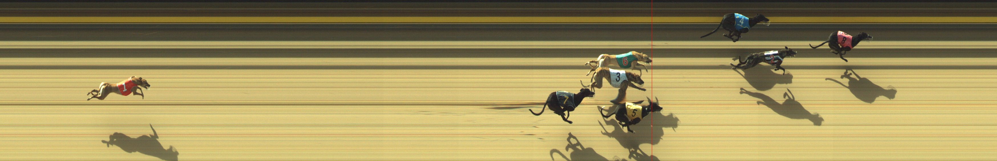 Photo finish for Geelong Race 9