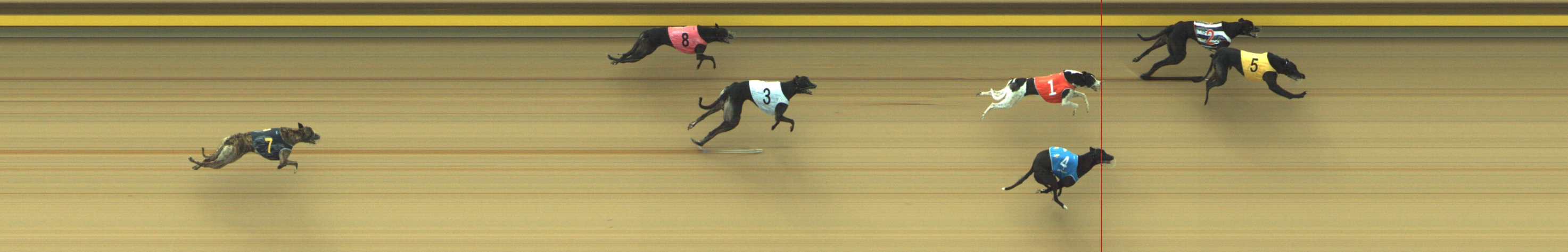 Photo finish for Geelong Race 10