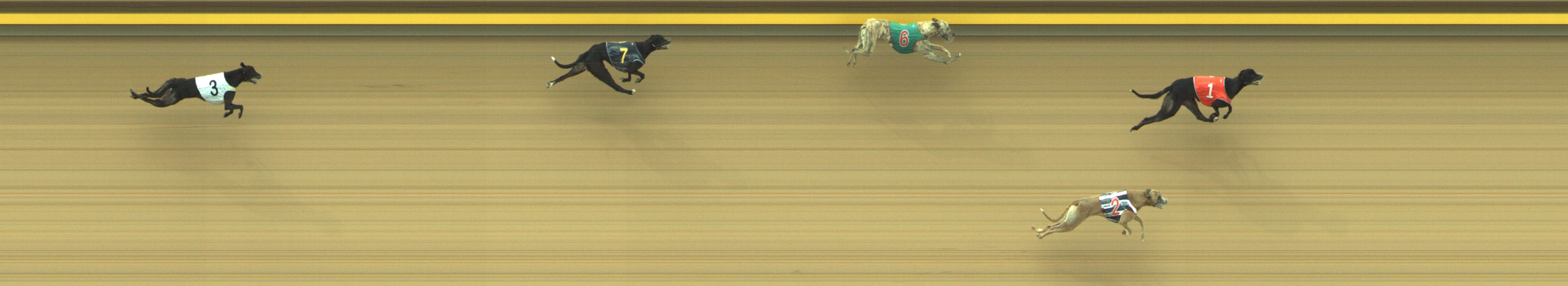 Photo finish for Geelong Race 11