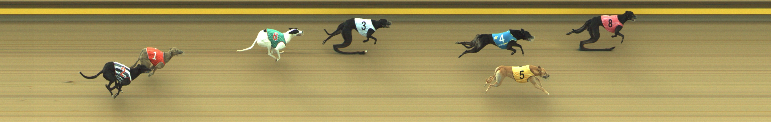 Photo finish for Geelong Race 12