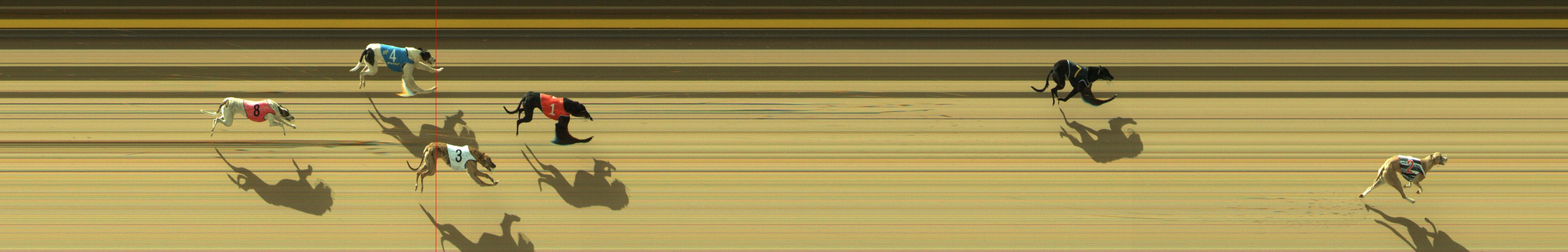 Race result finish photo