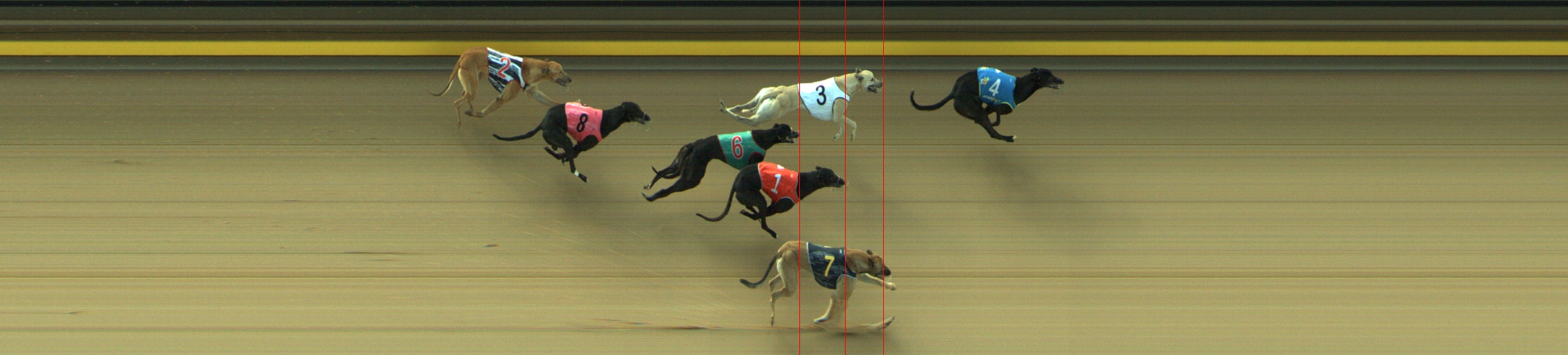 Photo finish for Geelong Race 2
