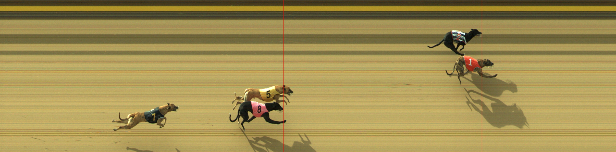 Photo finish for Geelong Race 3