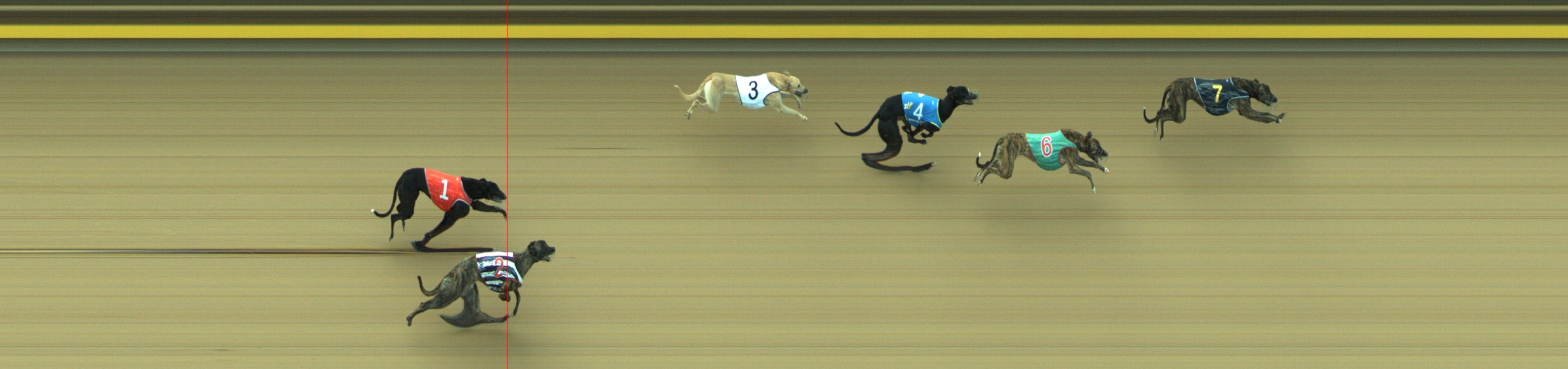 Photo finish for Geelong Race 5