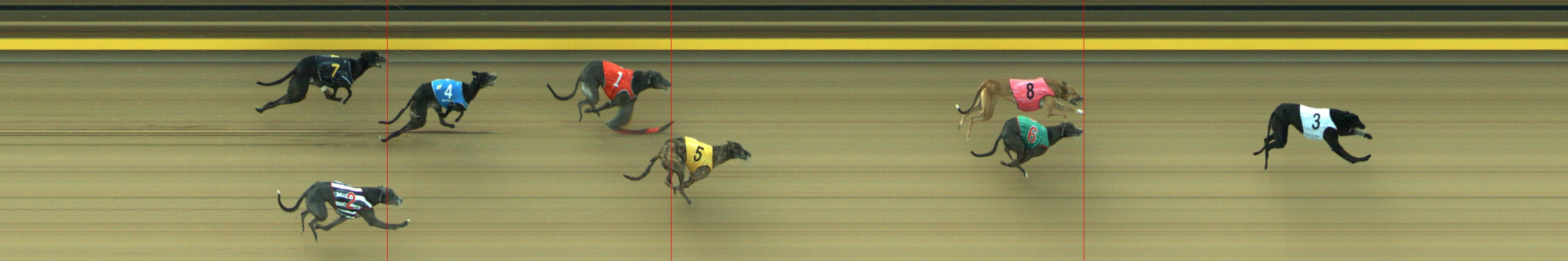 Photo finish for Geelong Race 7