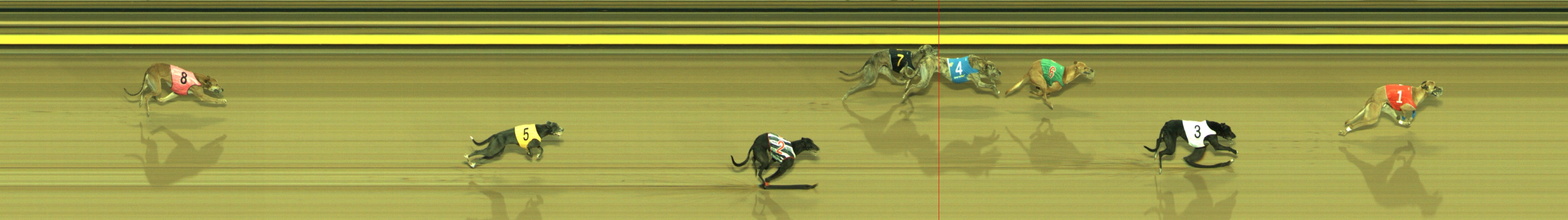 Photo finish for Geelong Race 8