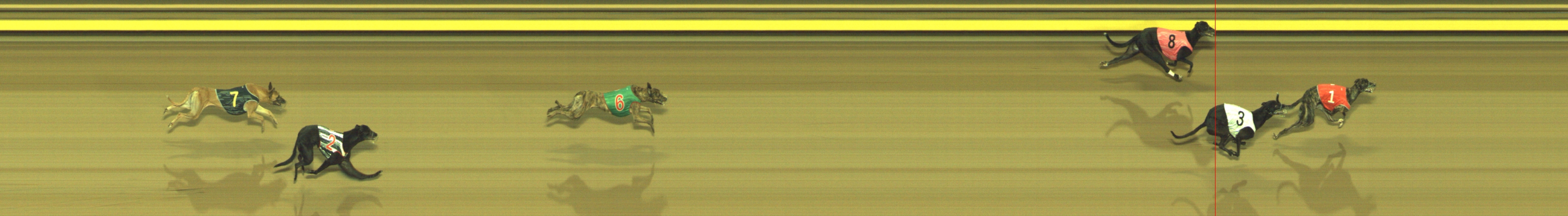 Photo finish for Geelong Race 9