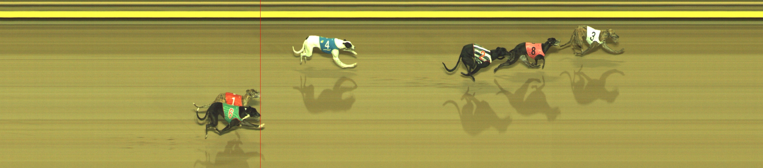 Photo finish for Geelong Race 10