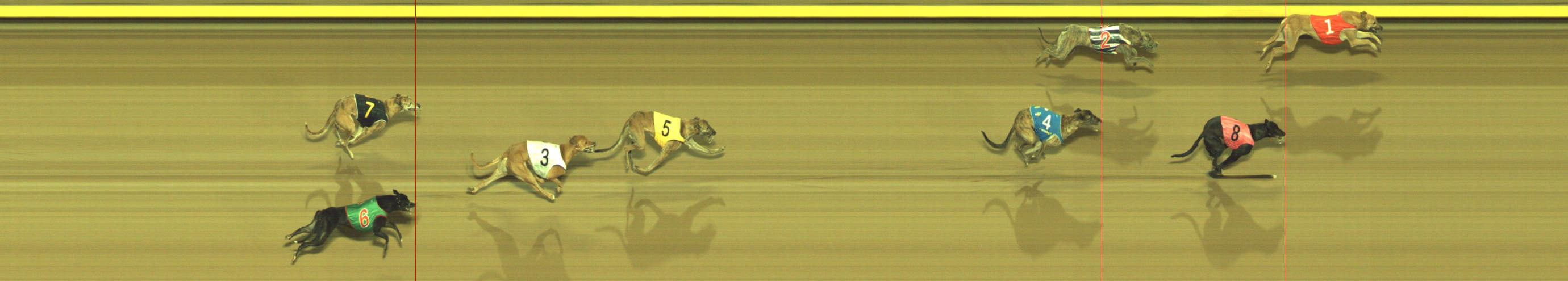 Photo finish for Geelong Race 11