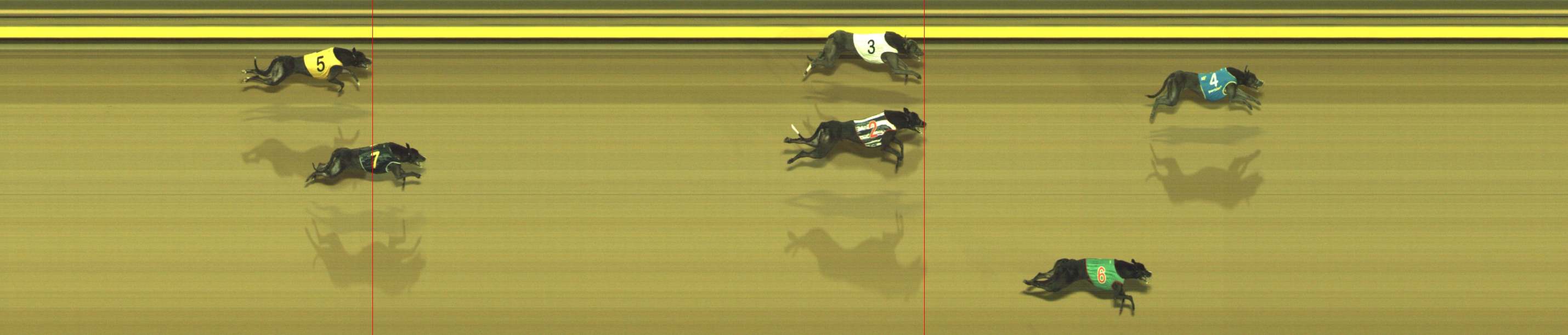 Photo finish for Geelong Race 12