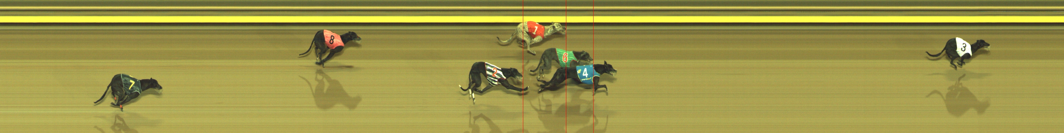 Photo finish for Geelong Race 13