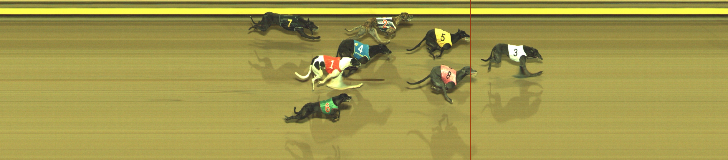 Photo finish for Geelong Race 2
