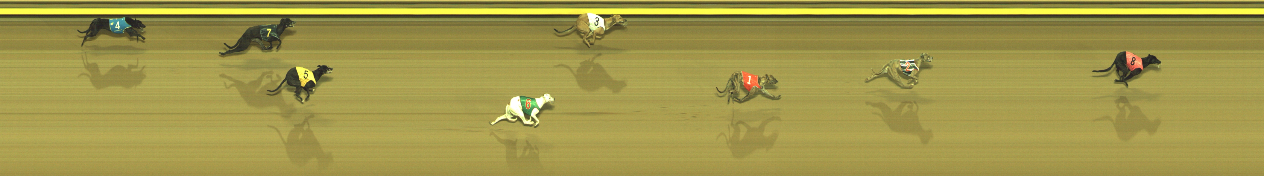 Race result finish photo