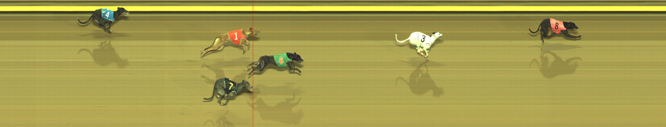 Photo finish for Geelong Race 3