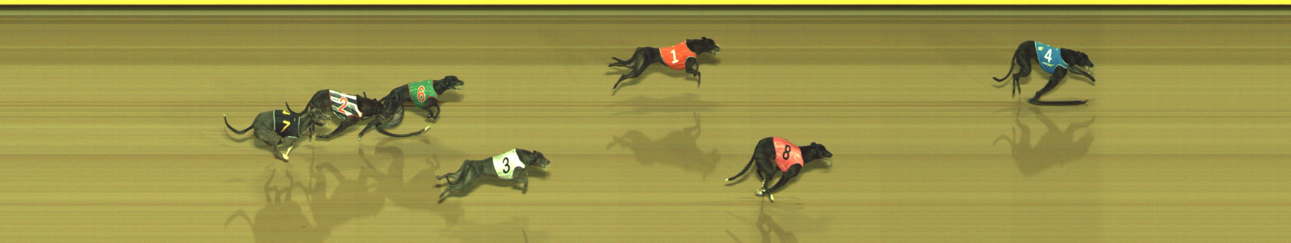 Photo finish for Geelong Race 4