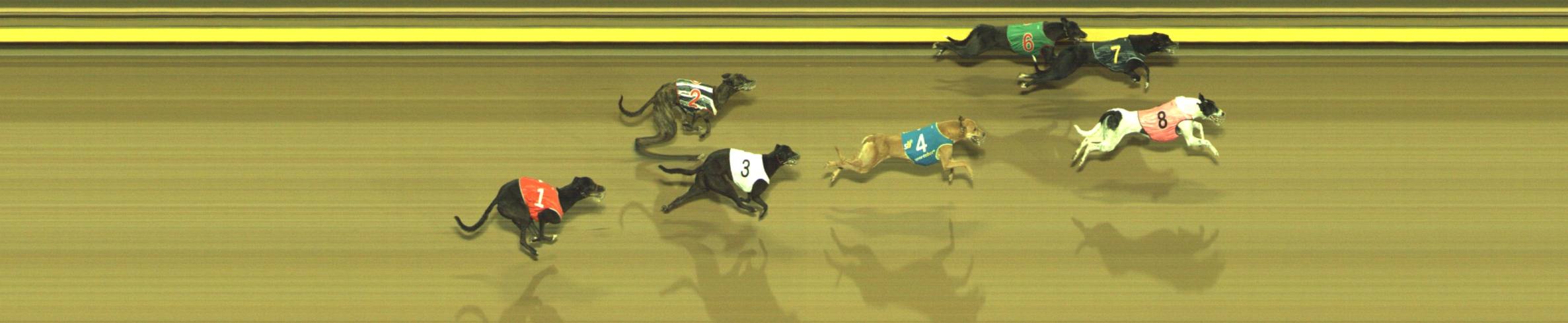 Photo finish for Geelong Race 5