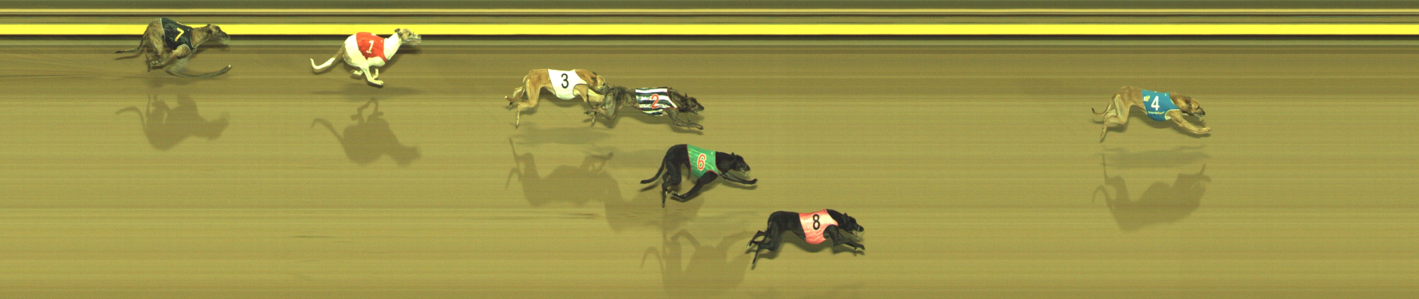 Photo finish for Geelong Race 6