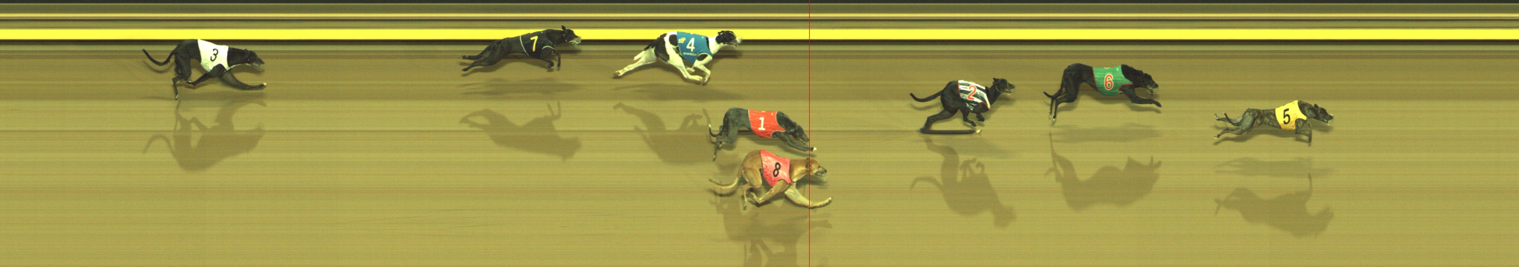 Photo finish for Geelong Race 7