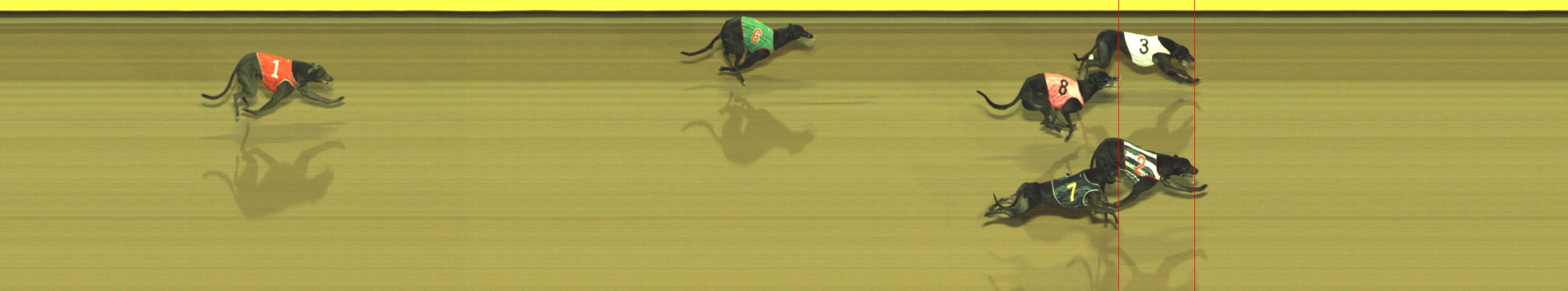 Photo finish for Geelong Race 8