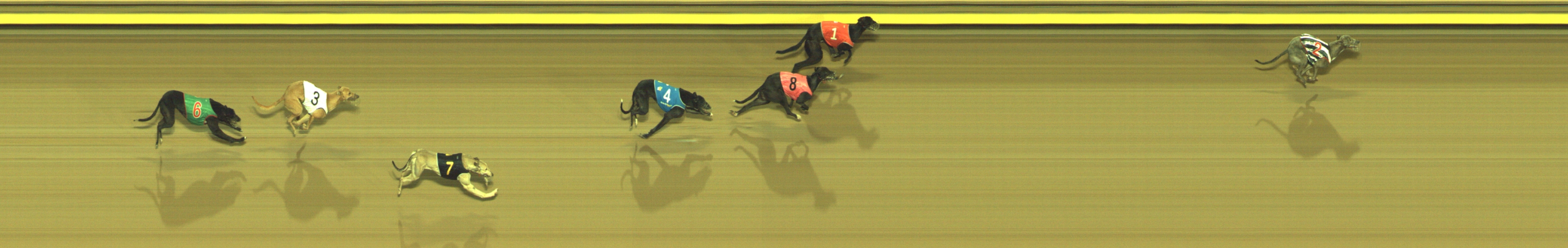 Photo finish for Geelong Race 9