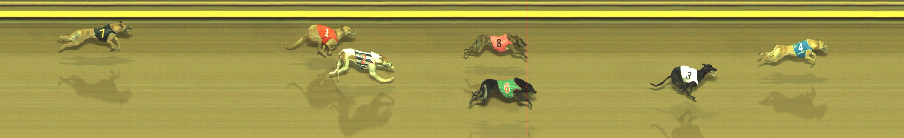 Photo finish for Geelong Race 10