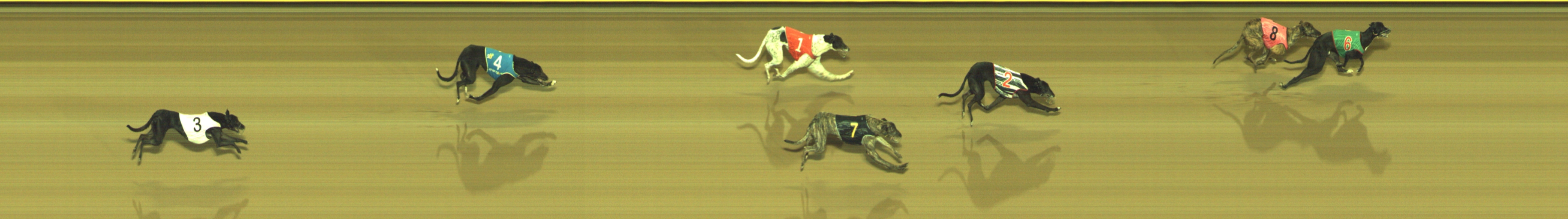 Photo finish for Geelong Race 11