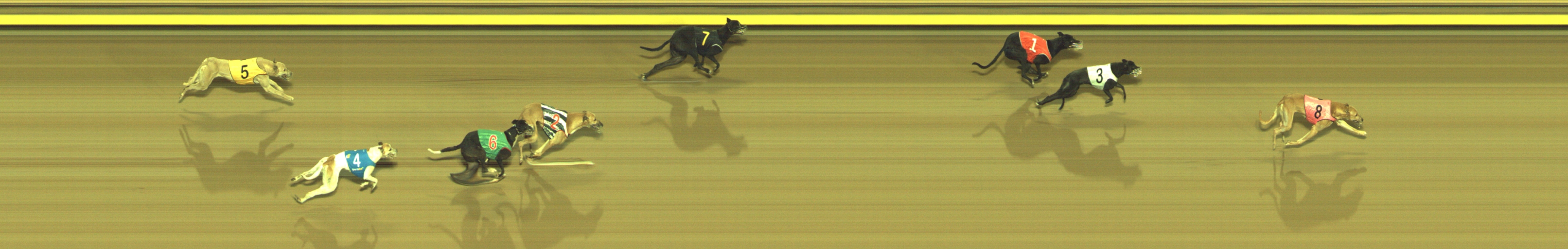 Photo finish for Geelong Race 12