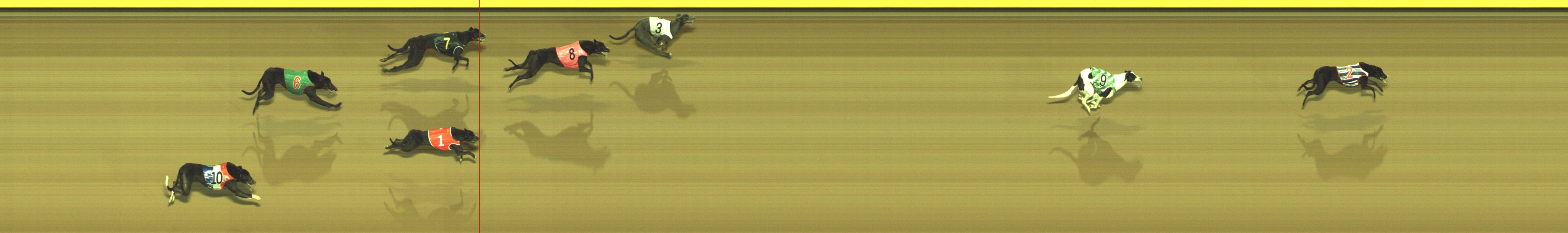 Photo finish for Geelong Race 3