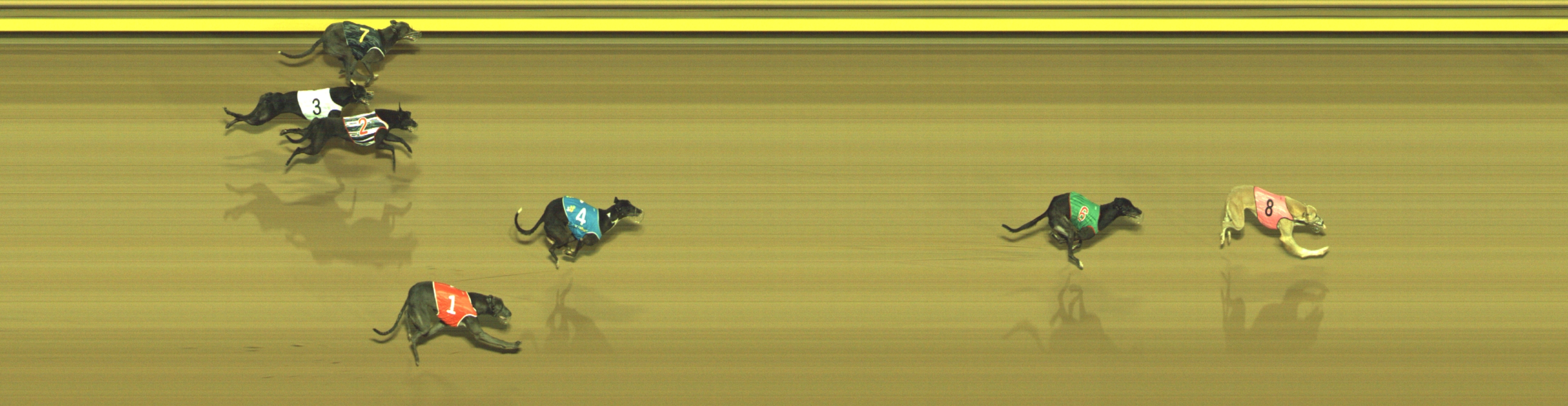 Photo finish for Geelong Race 4