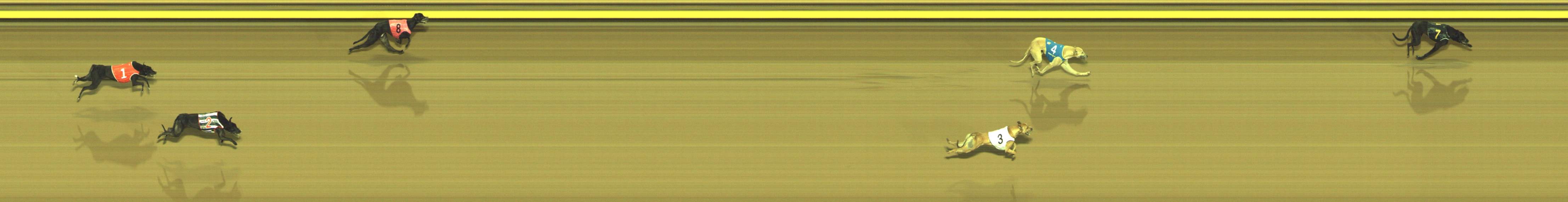 Photo finish for Geelong Race 5
