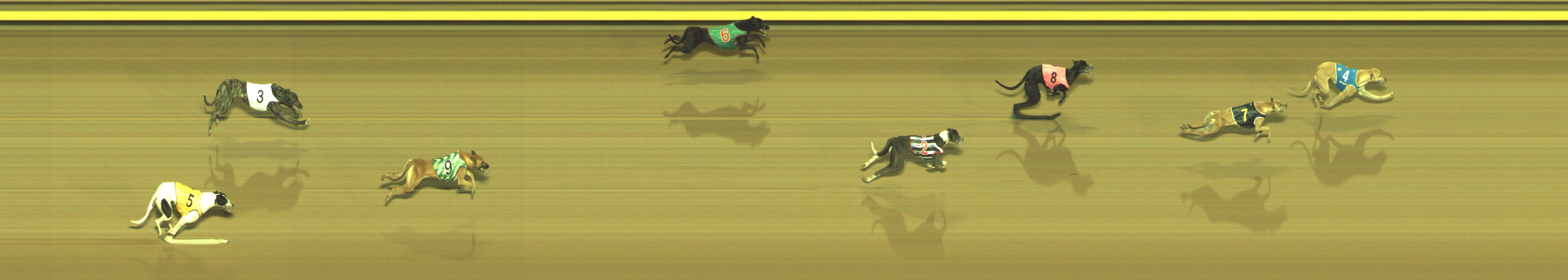 Photo finish for Geelong Race 7